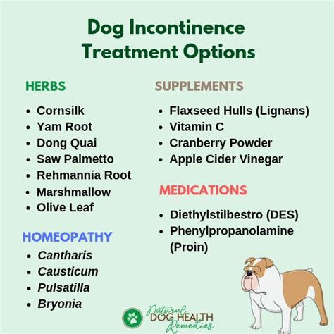 dog incontinence after spay|Urinary Incontinence in Dogs: Causes and Treatment